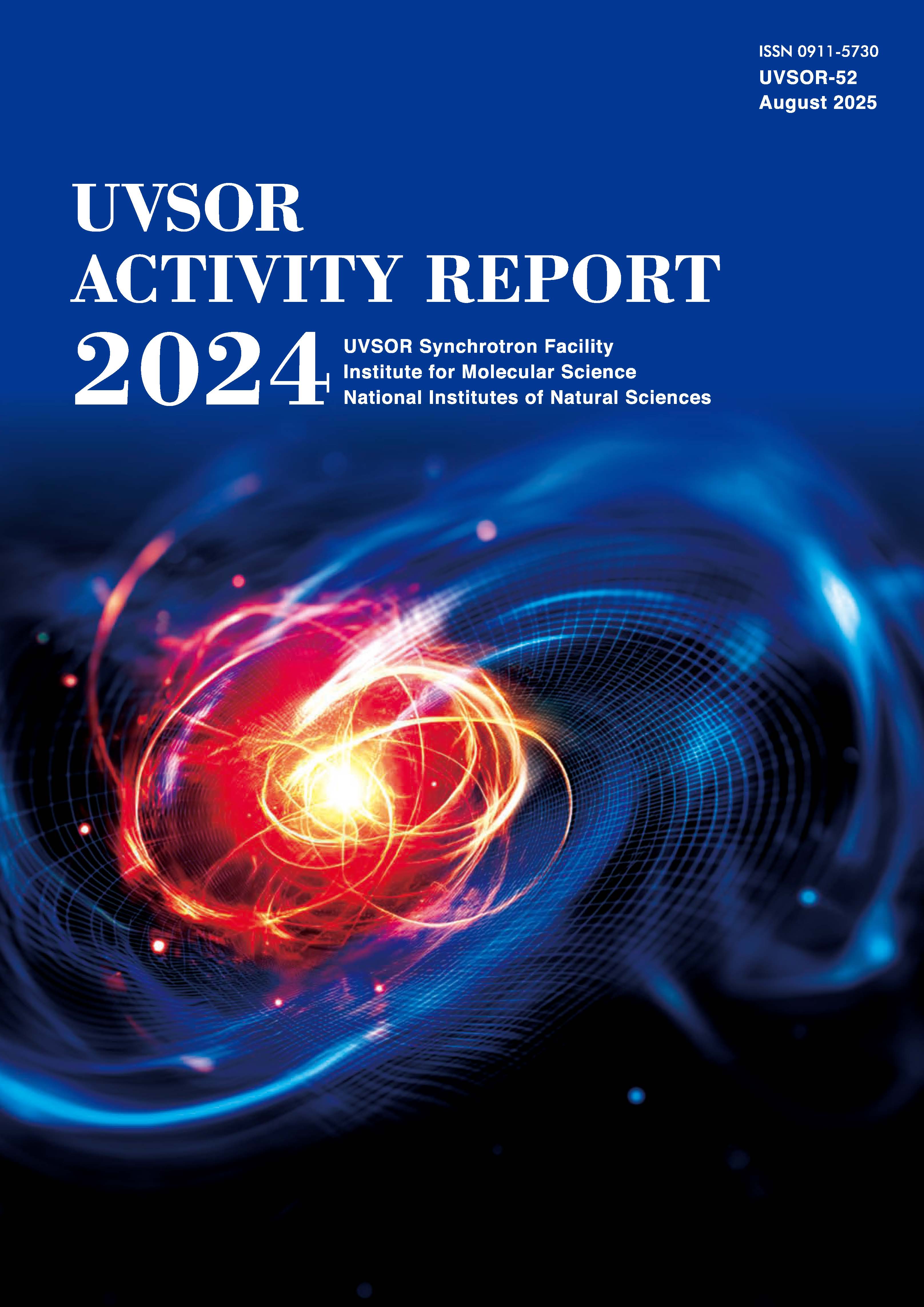 Activity Report 2024