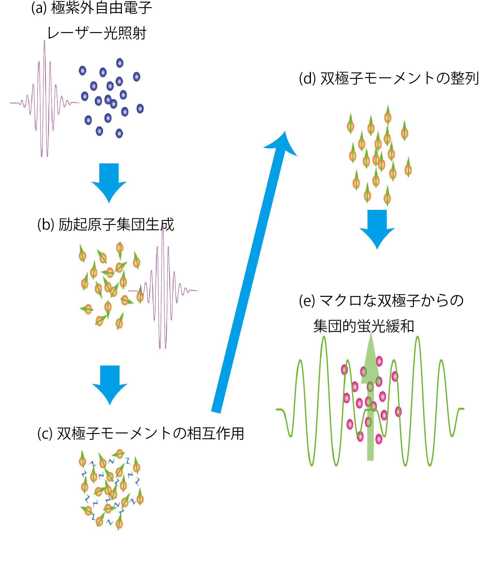 Schematic View of Superfluorescence